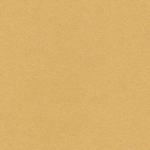 1017414.webp
