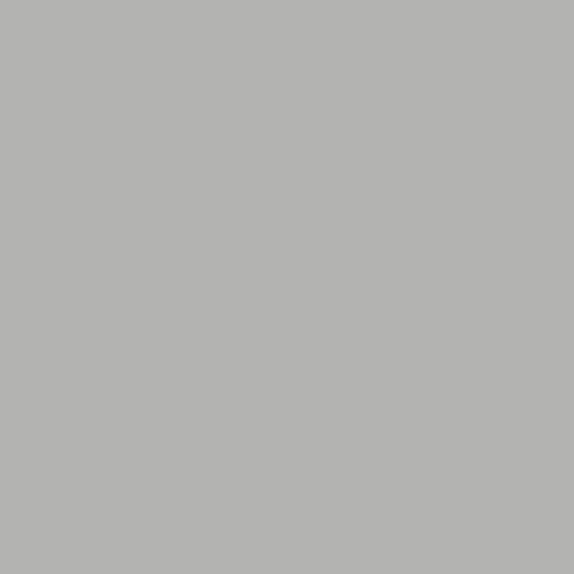 1027731.webp