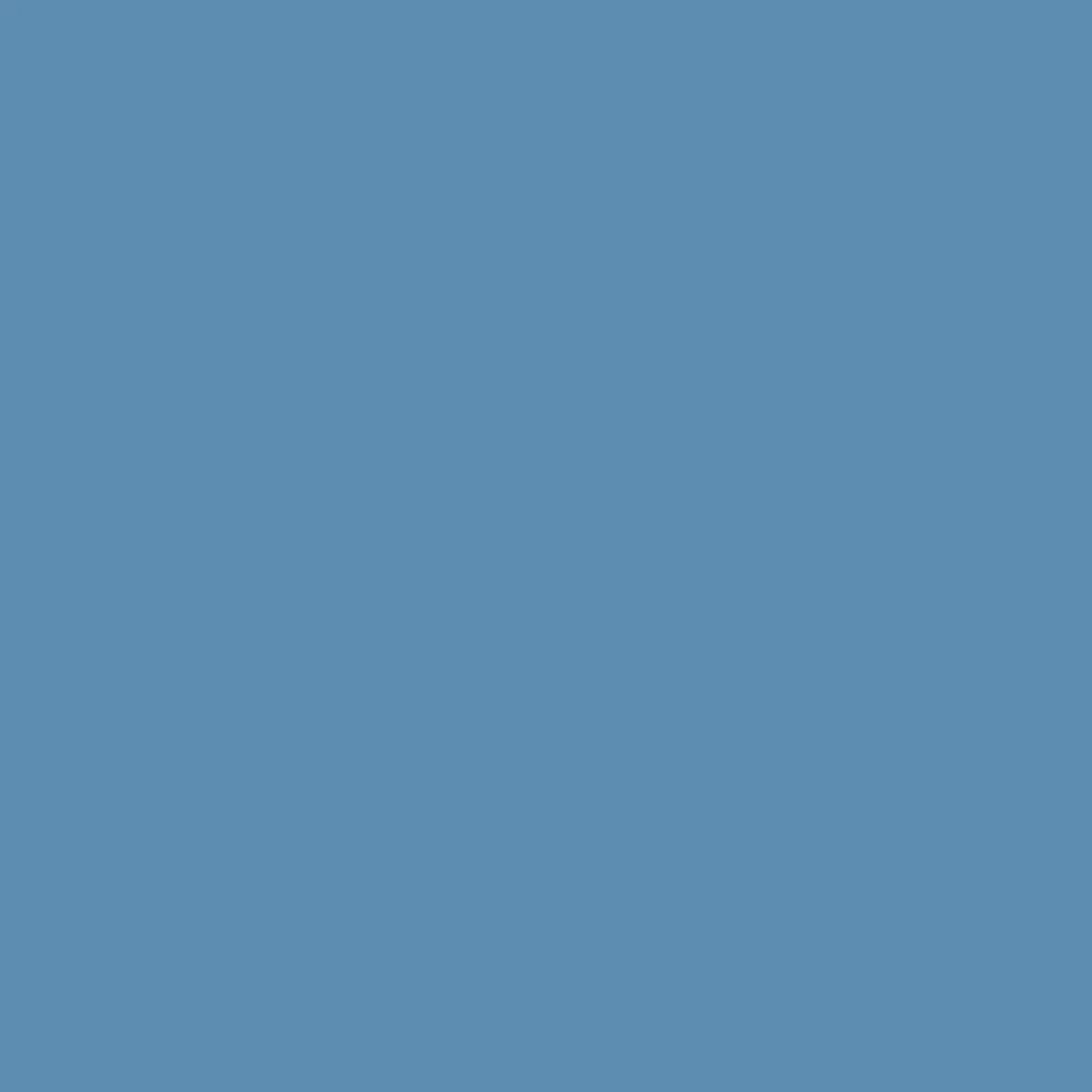 1027819.webp