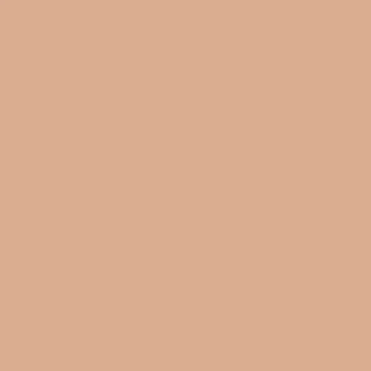 1027823.webp