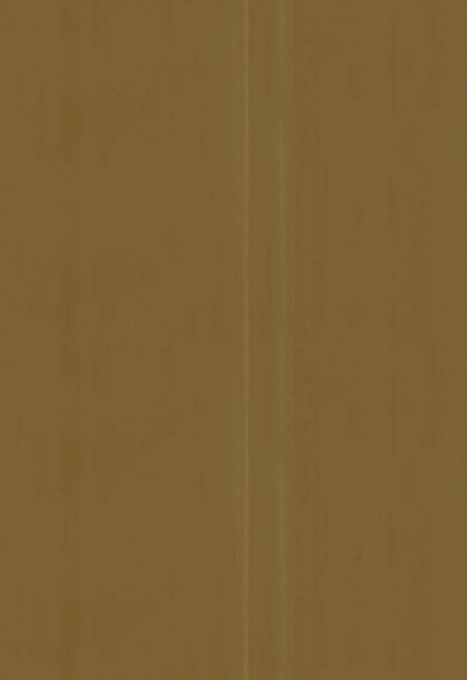 1086594.webp