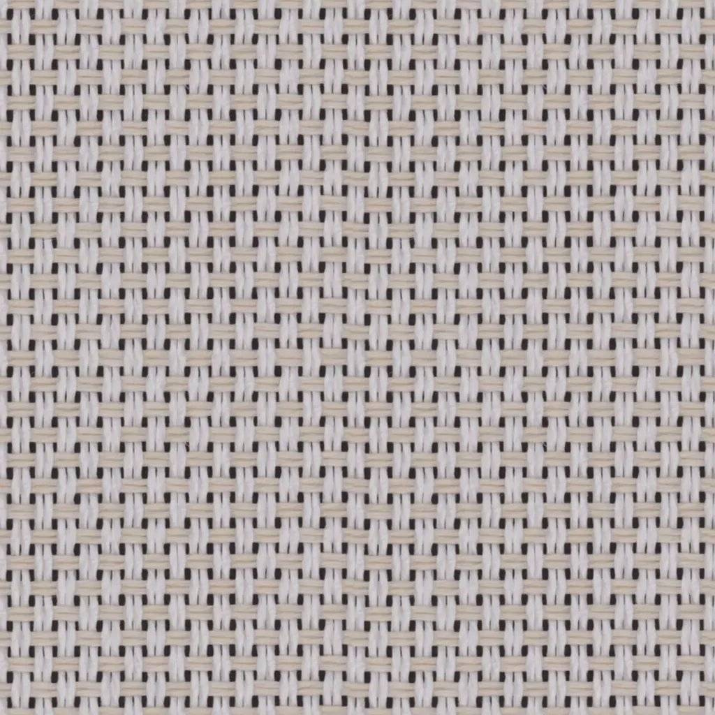 1095793.webp