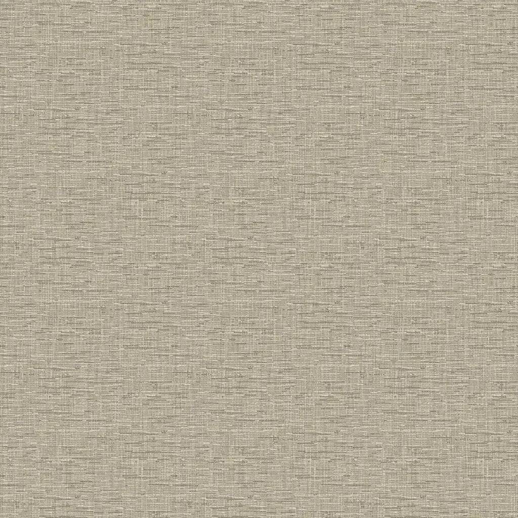 1248366.webp