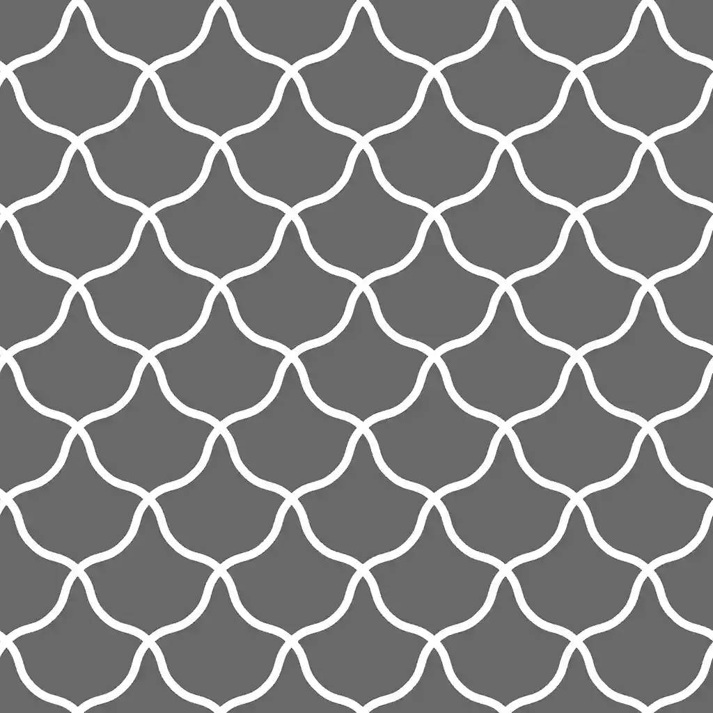 1257645.webp