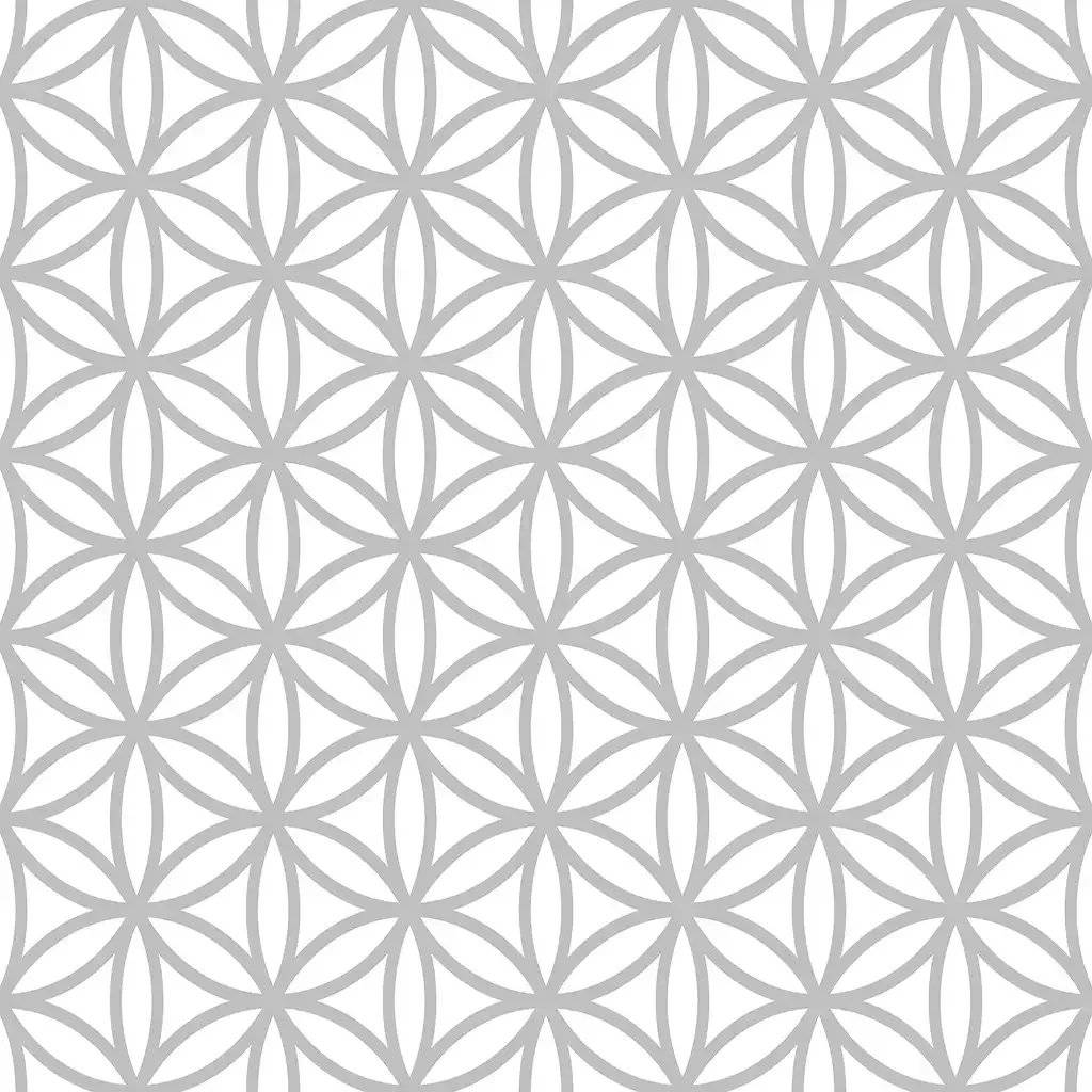 1257660.webp