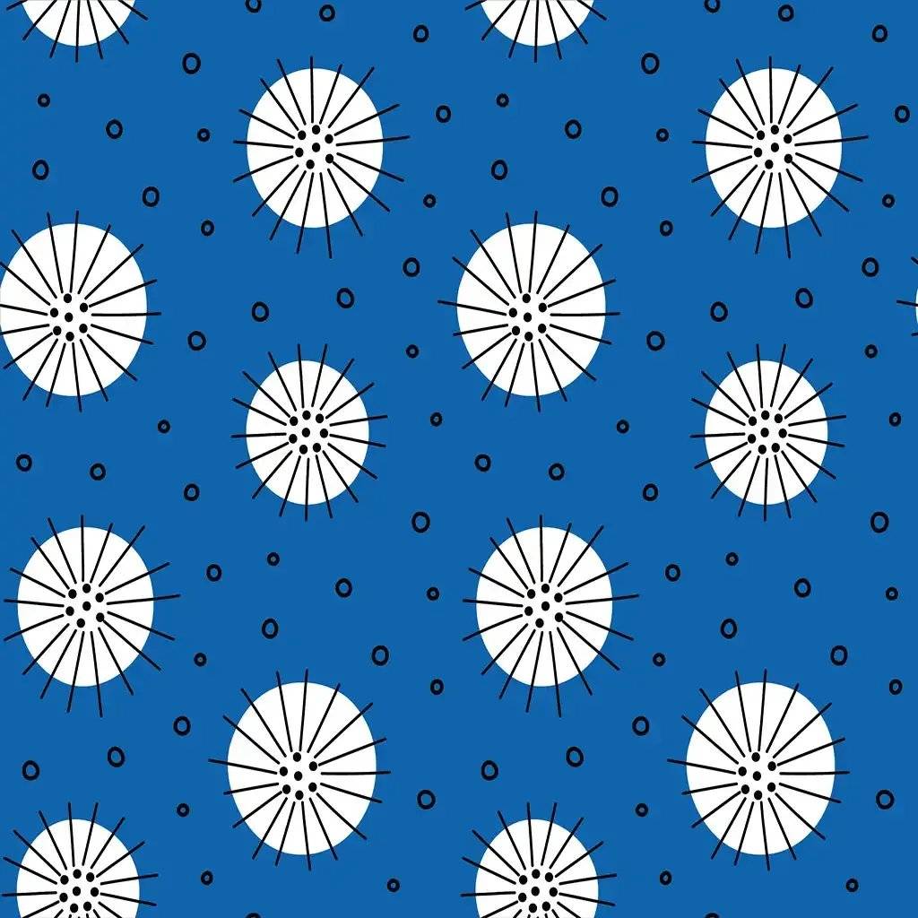 1353153.webp