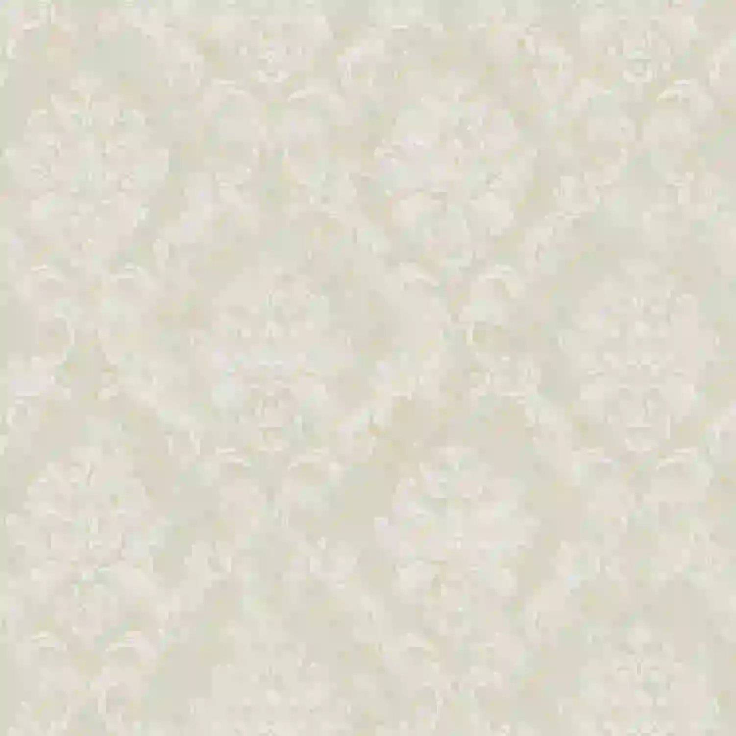 1706775042_a76e98ee61e7d424ea68.webp