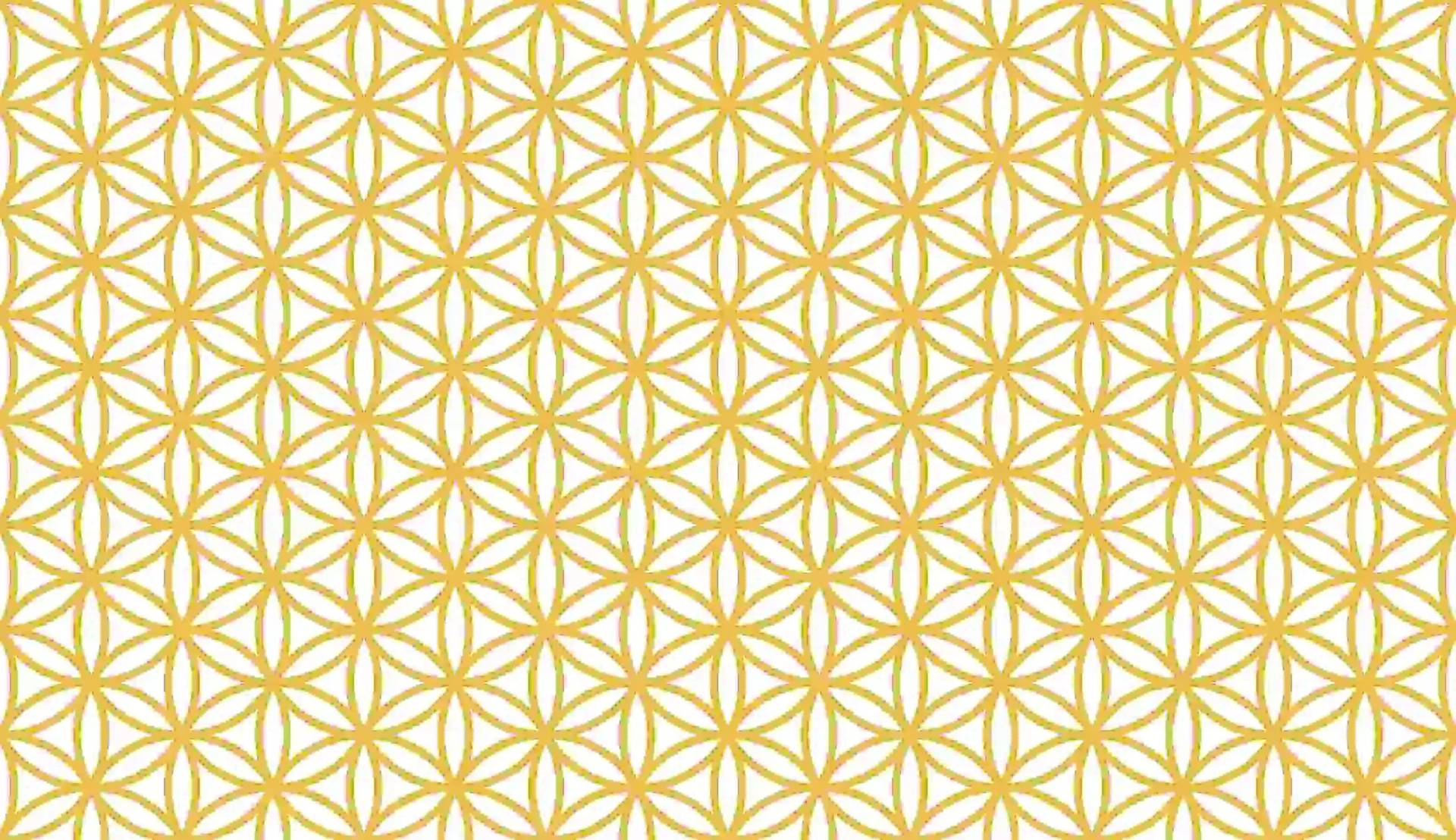 1708609875_bf7494a85f7b91962e19.webp