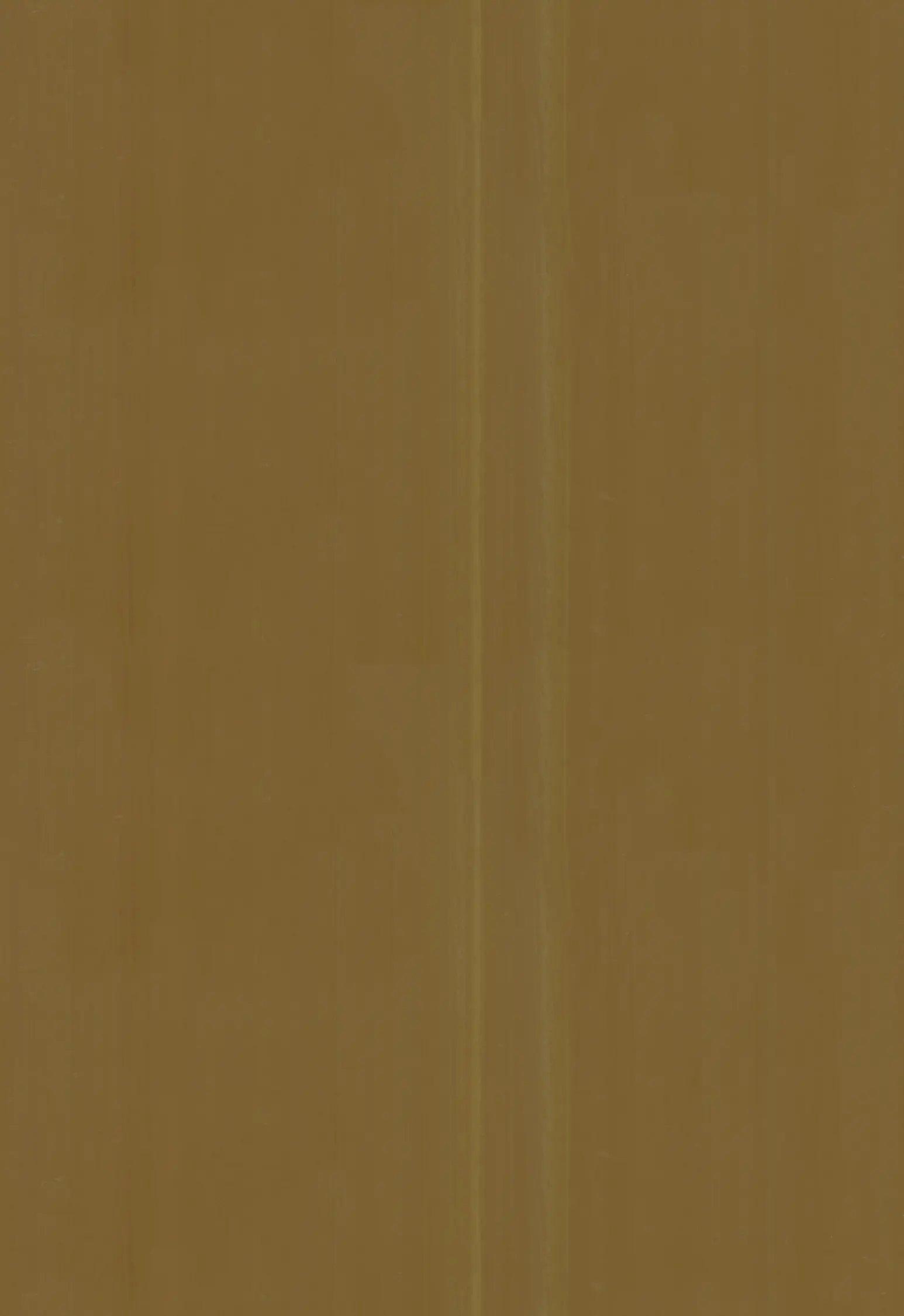 1086594.webp