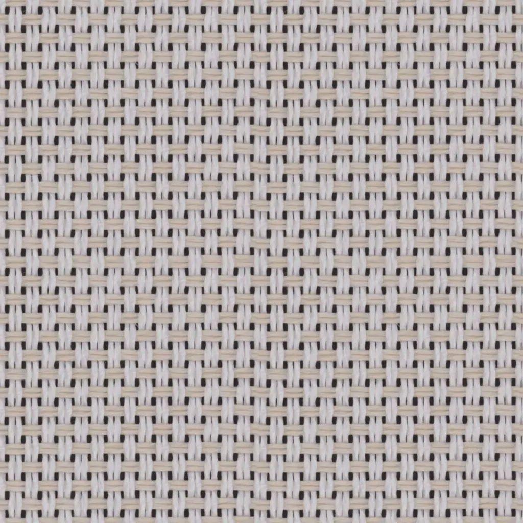 1095793.webp