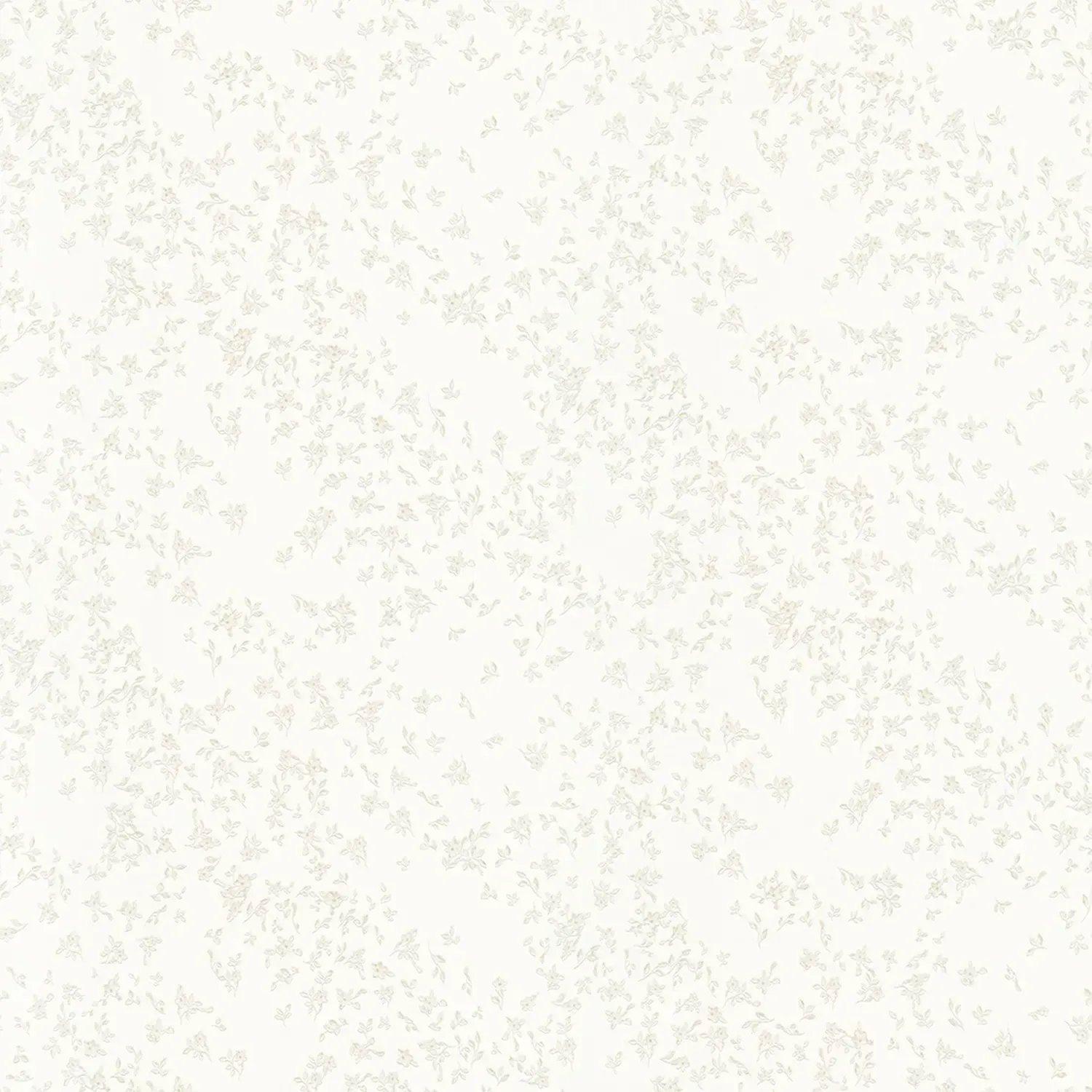 1145381.webp
