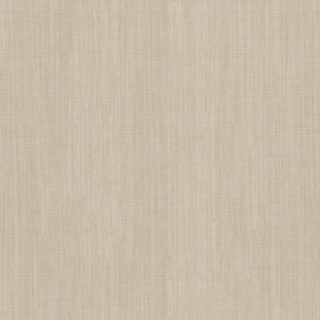 1257246.webp
