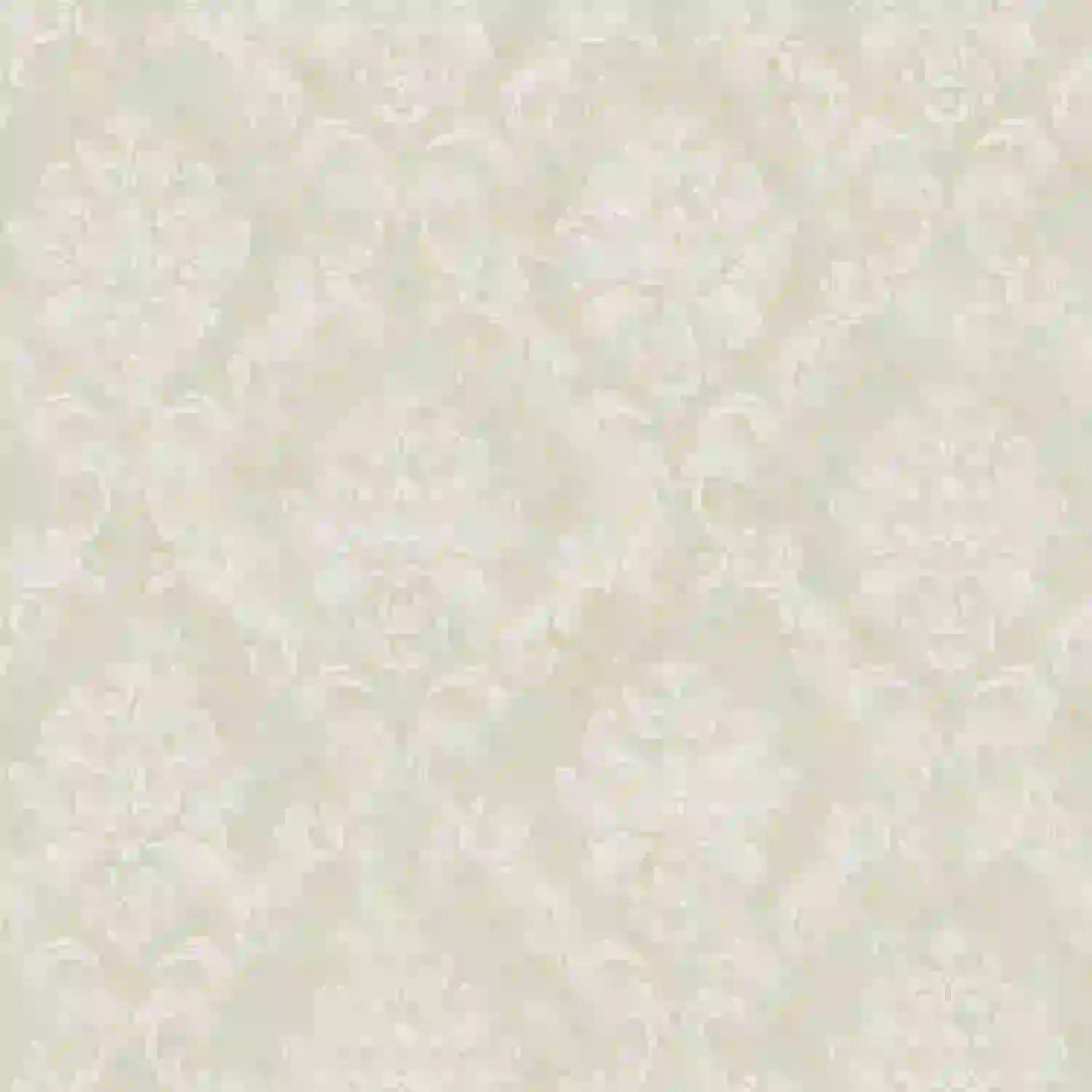 1706775042_a76e98ee61e7d424ea68.webp